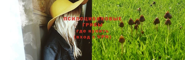 таблы Алзамай