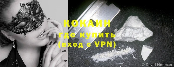 дживик Алексин