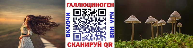 KRAKEN tor  наркошоп  Кизел  Галлюциногенные грибы мухоморы 